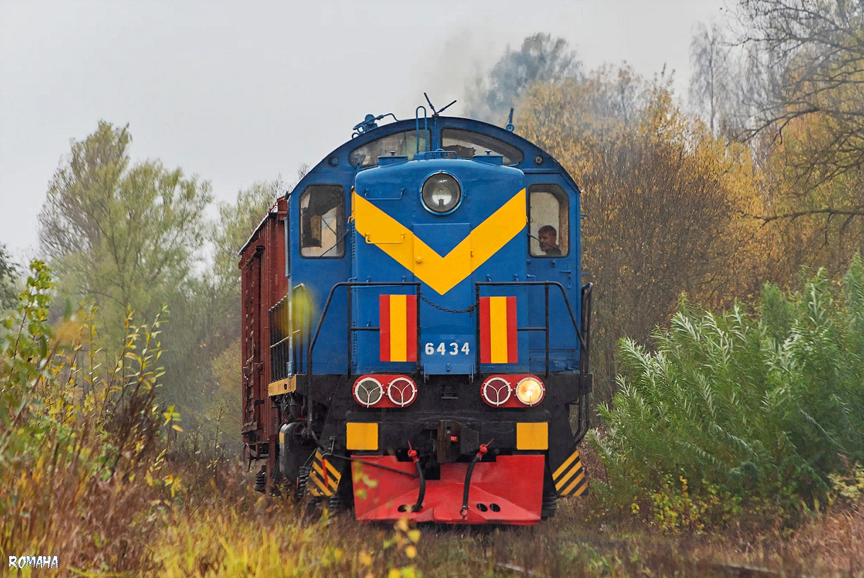 ТЭМ2-6434
