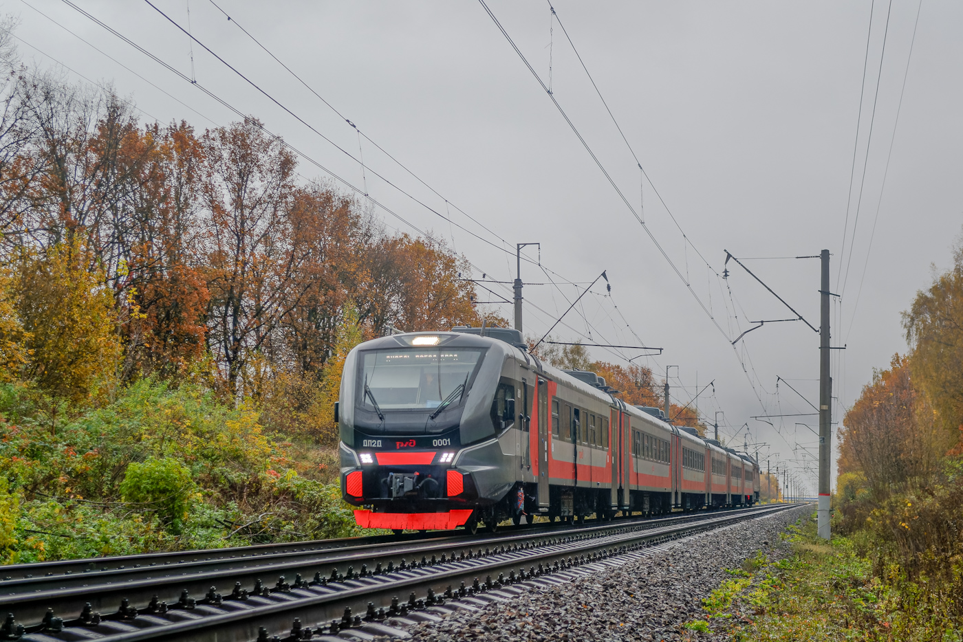 ДП2Д-0001