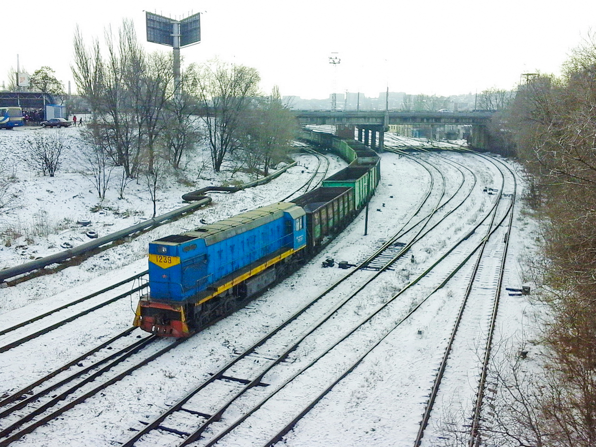 ТГМ6А-1239
