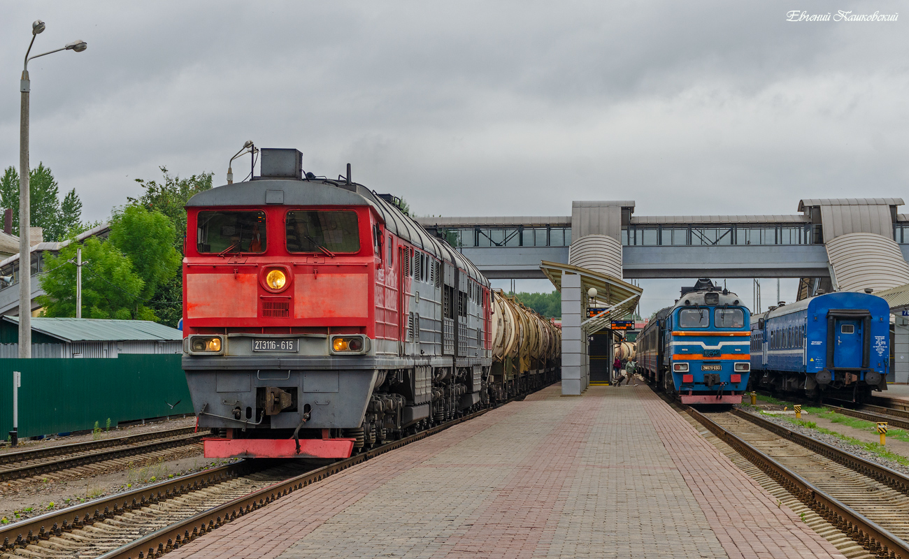2ТЭ116-615; 2М62У-0313А