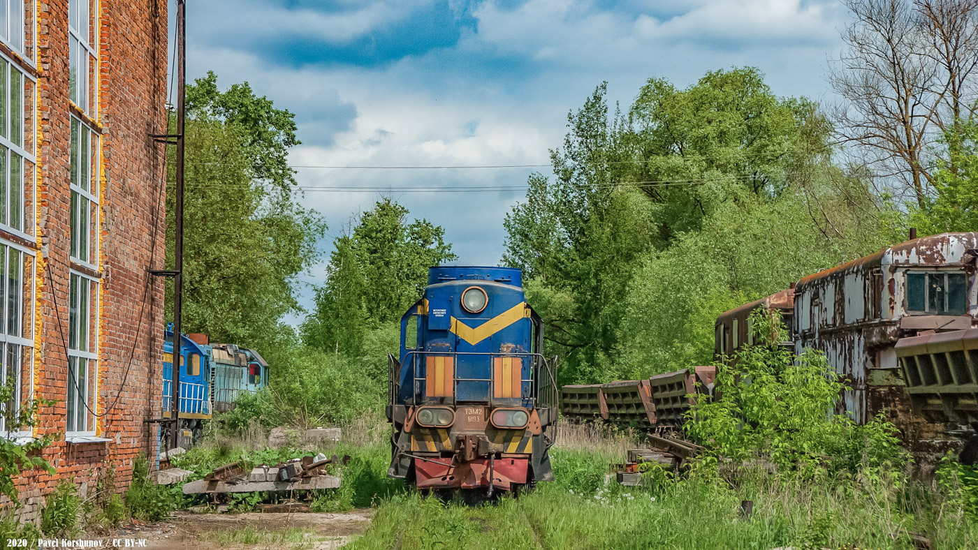 ТЭМ2-6193