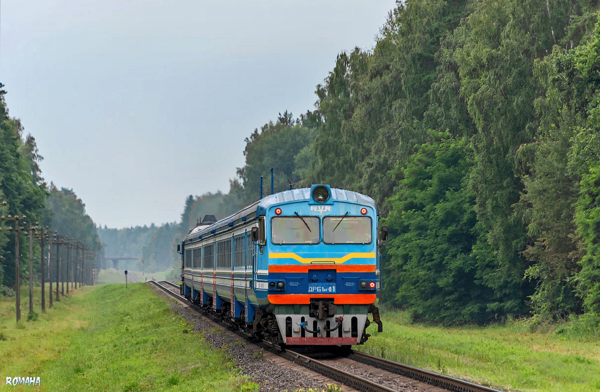 ДРБ1М-01