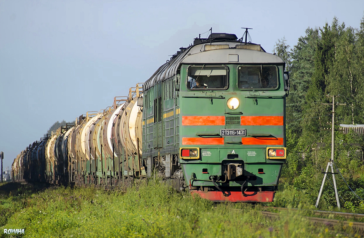 2ТЭ116-1431