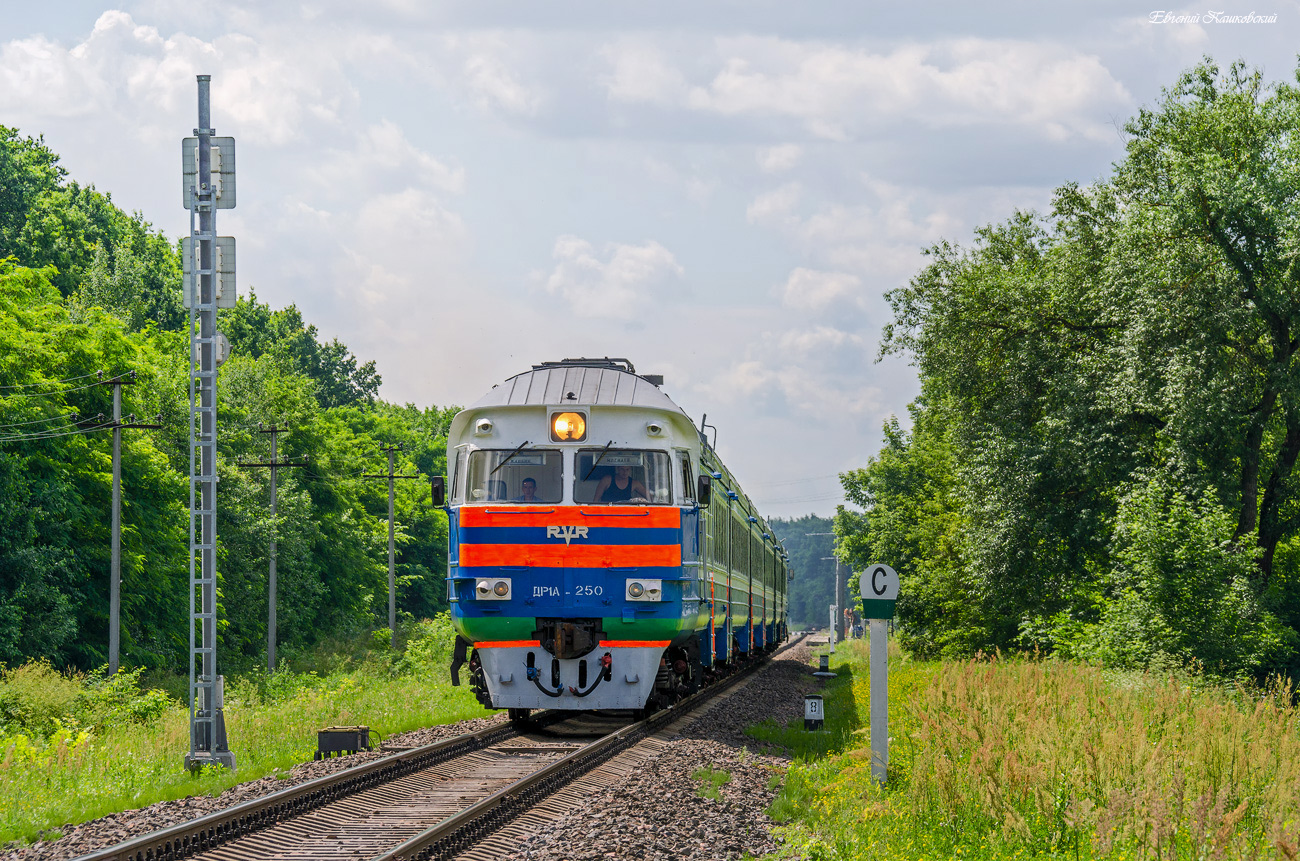 ДР1А-250