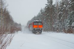 981 КБ