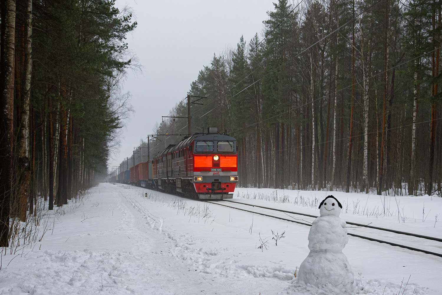 2ТЭ116-1545