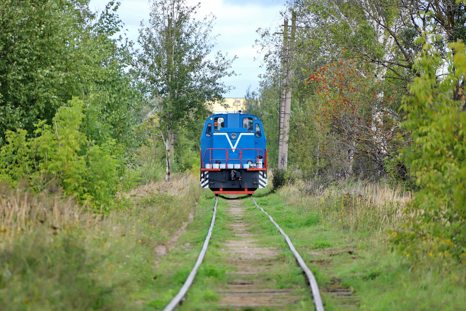 ТГМ23В48-1862