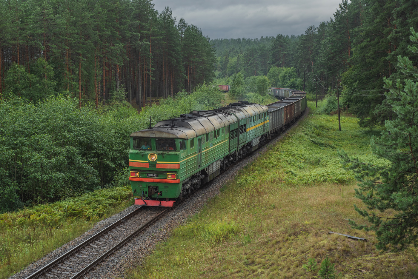 2ТЭ116-401