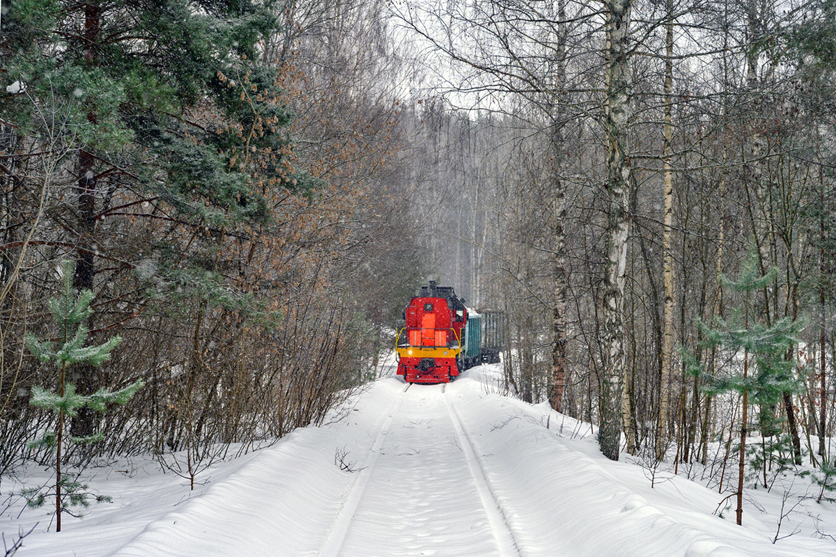 ТЭМ18ДМ-2250