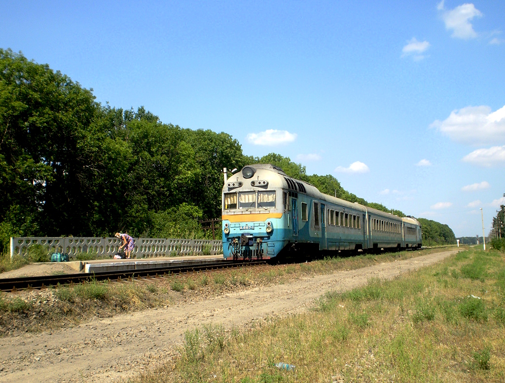 Д1-667