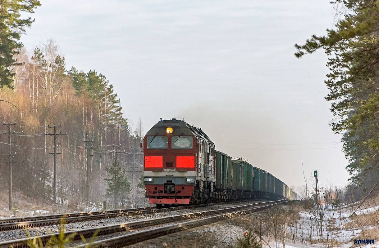 2ТЭ116У-0080
