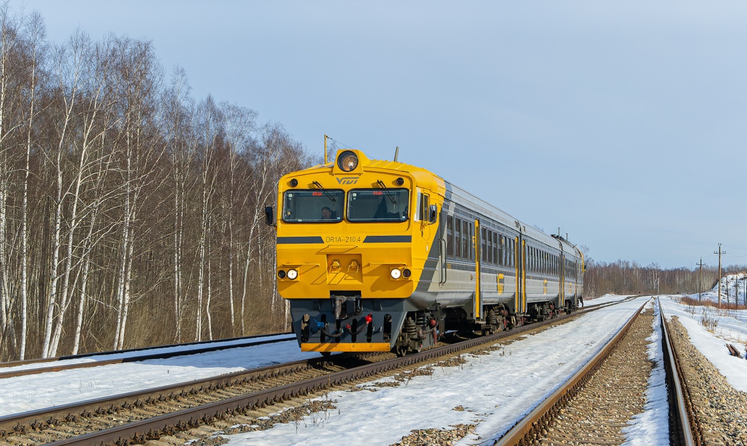 ДР1А-210