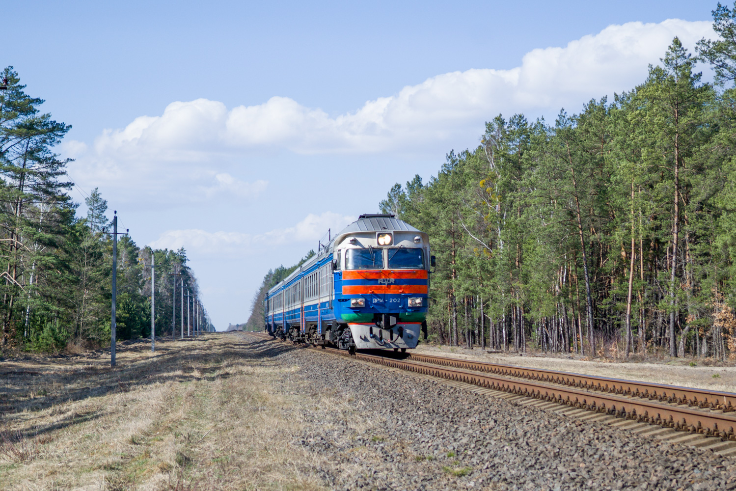 ДР1А-202