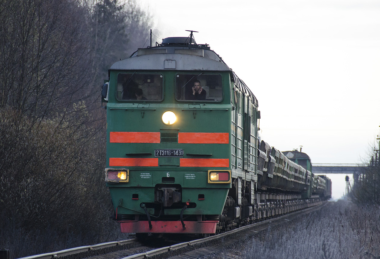 2ТЭ116-1431