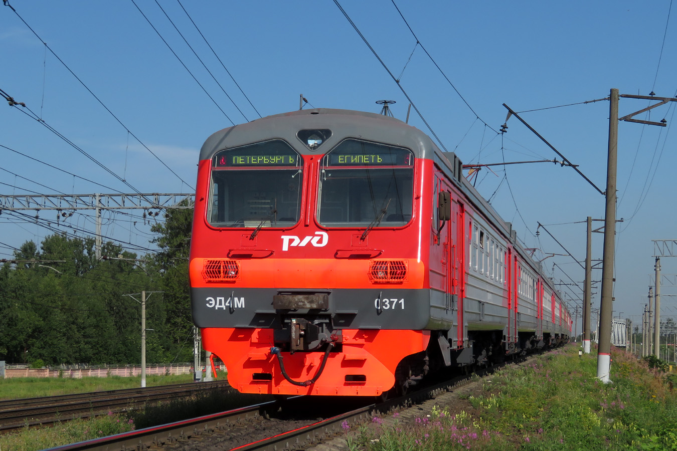 ЭД4М-0371