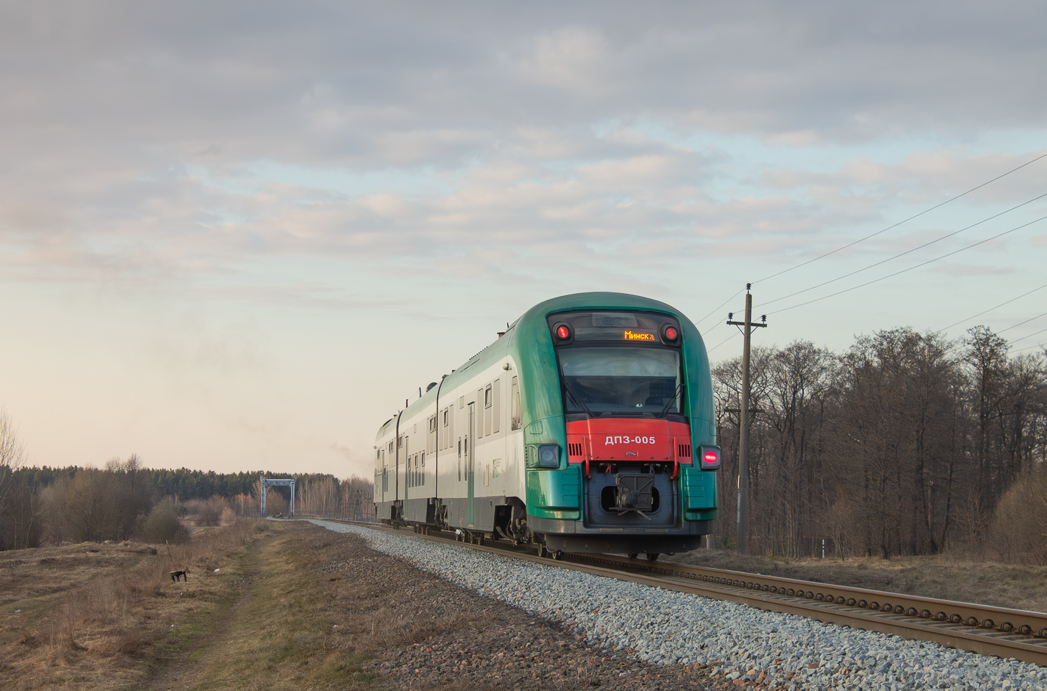 ДП3-005