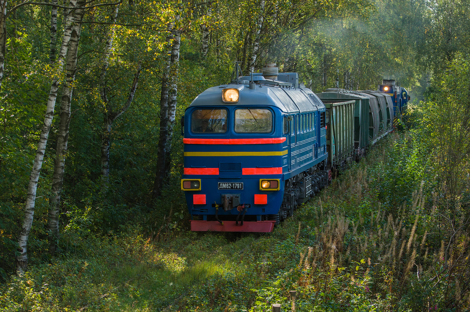ДМ62-1791