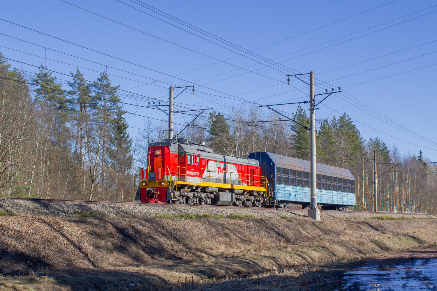 ТЭМ18ДМ-1008