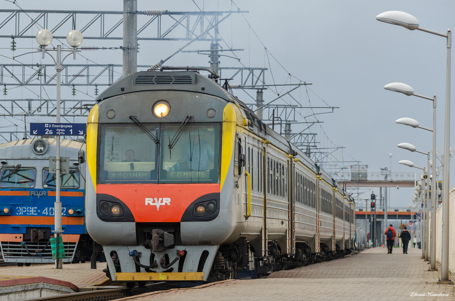 ДР1Б-501