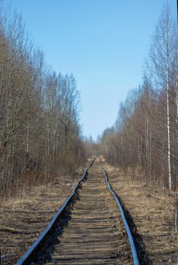 828 КБ