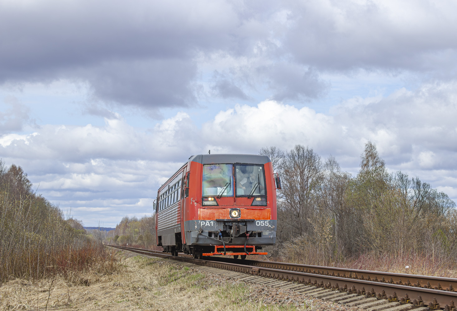 РА1-0055