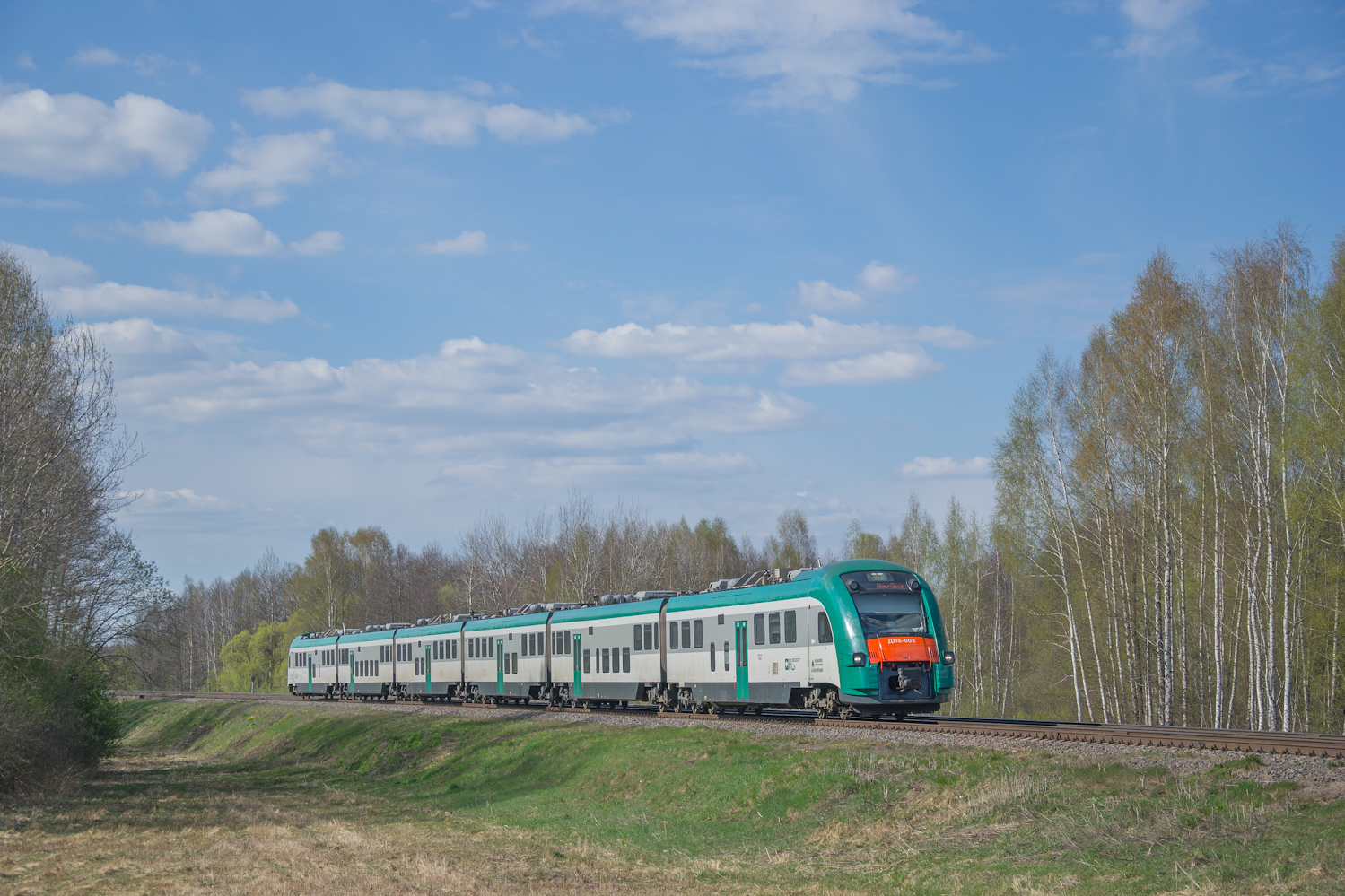 ДП6-005
