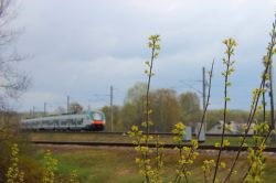 262 КБ