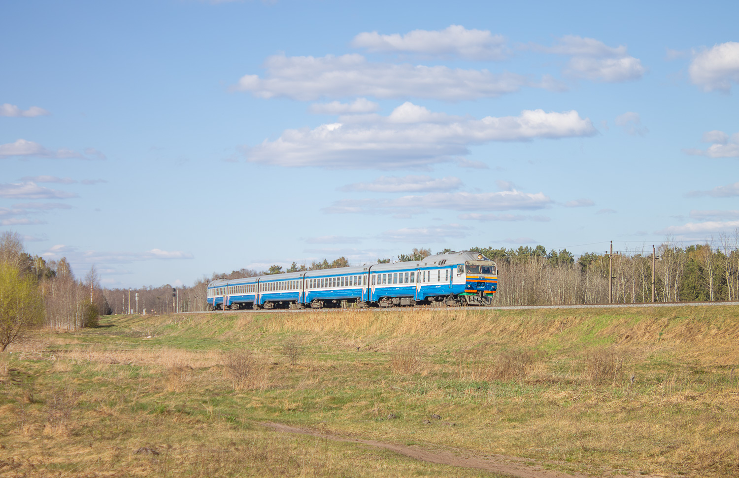 ДР1А-319