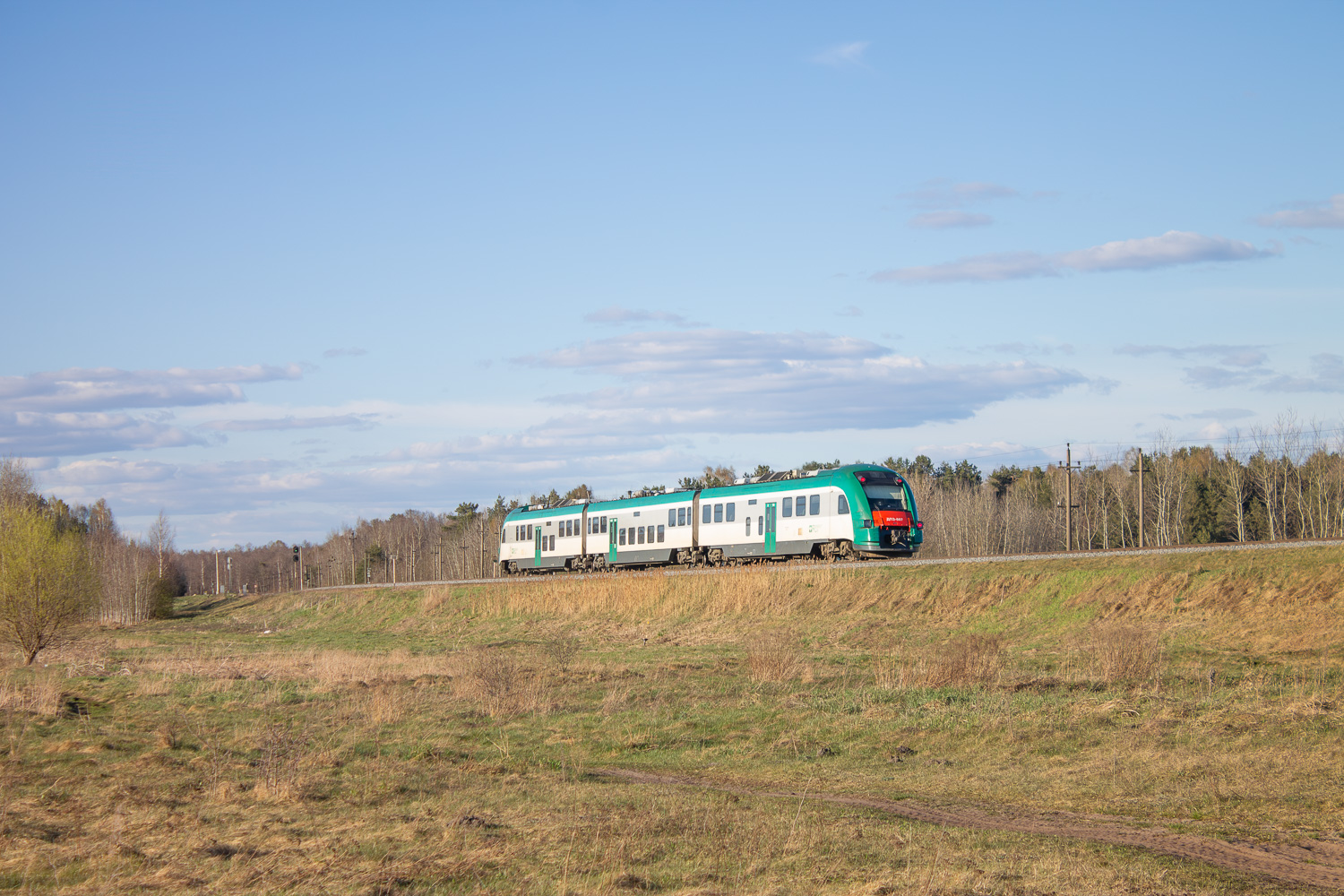 ДП3-007