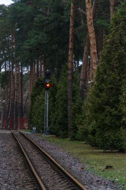 619 КБ