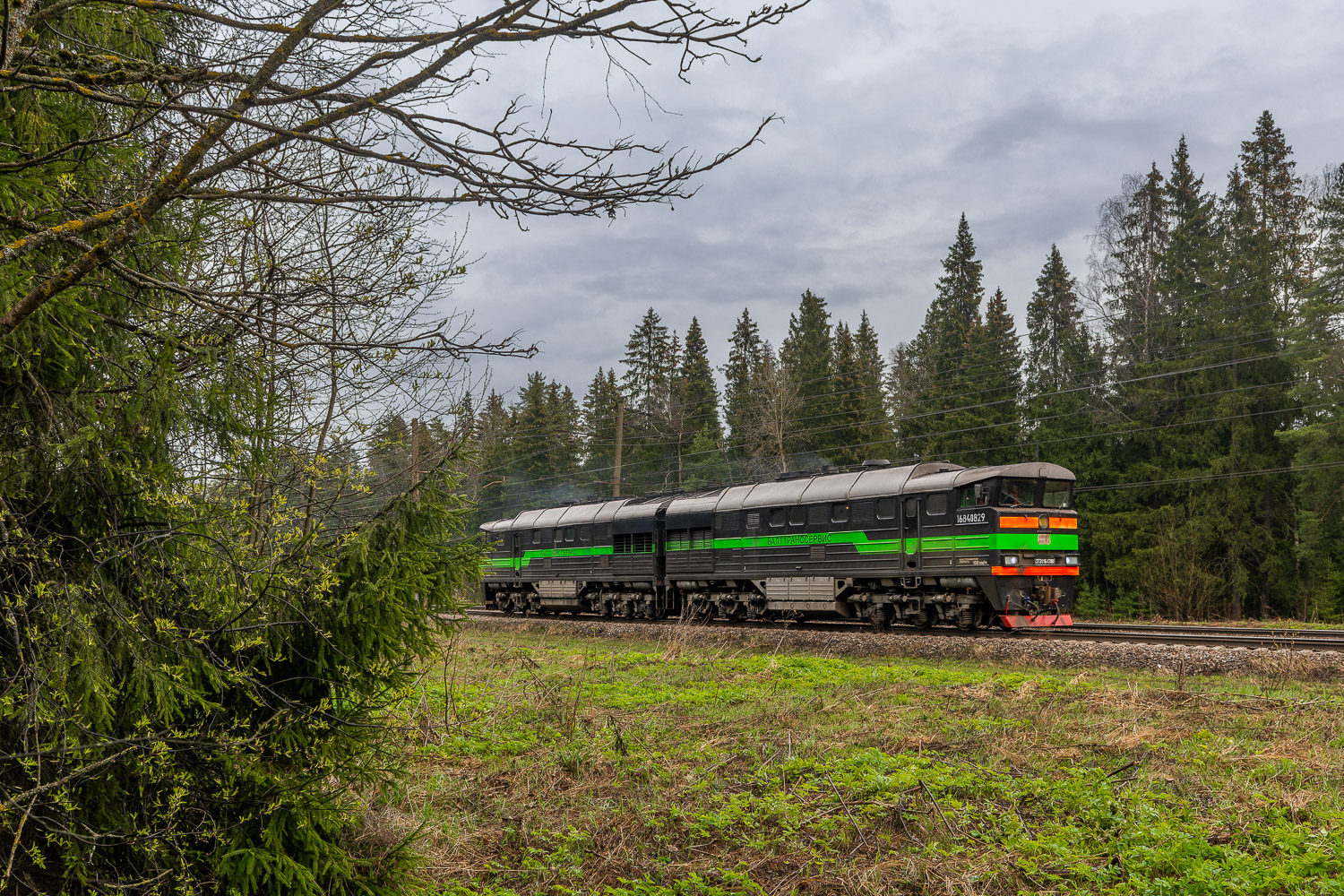 2ТЭ116-1700