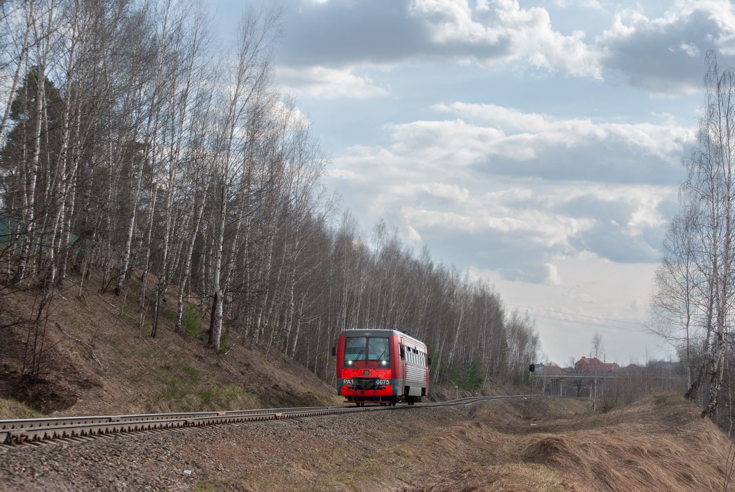 РА1-0075
