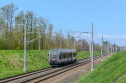 919 КБ