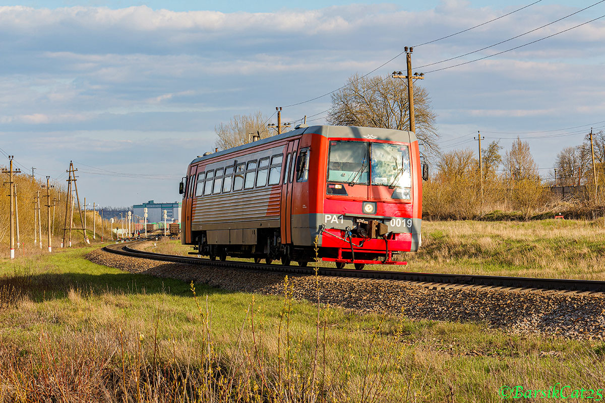 РА1-0019