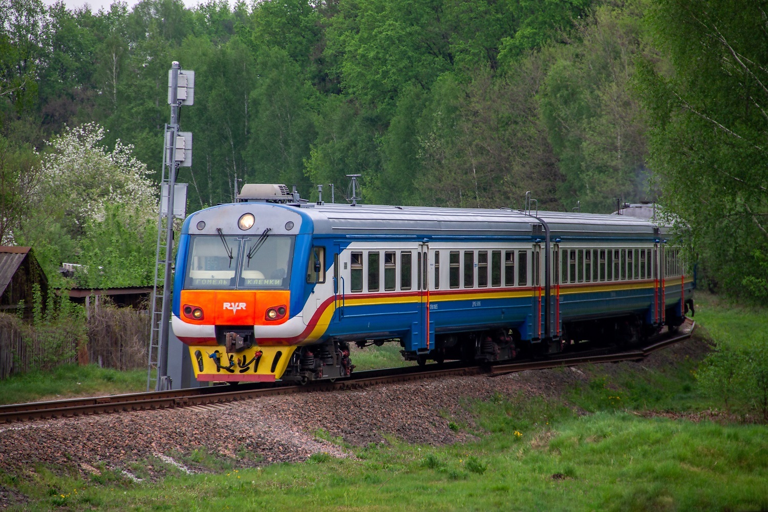 ДР1Б-509