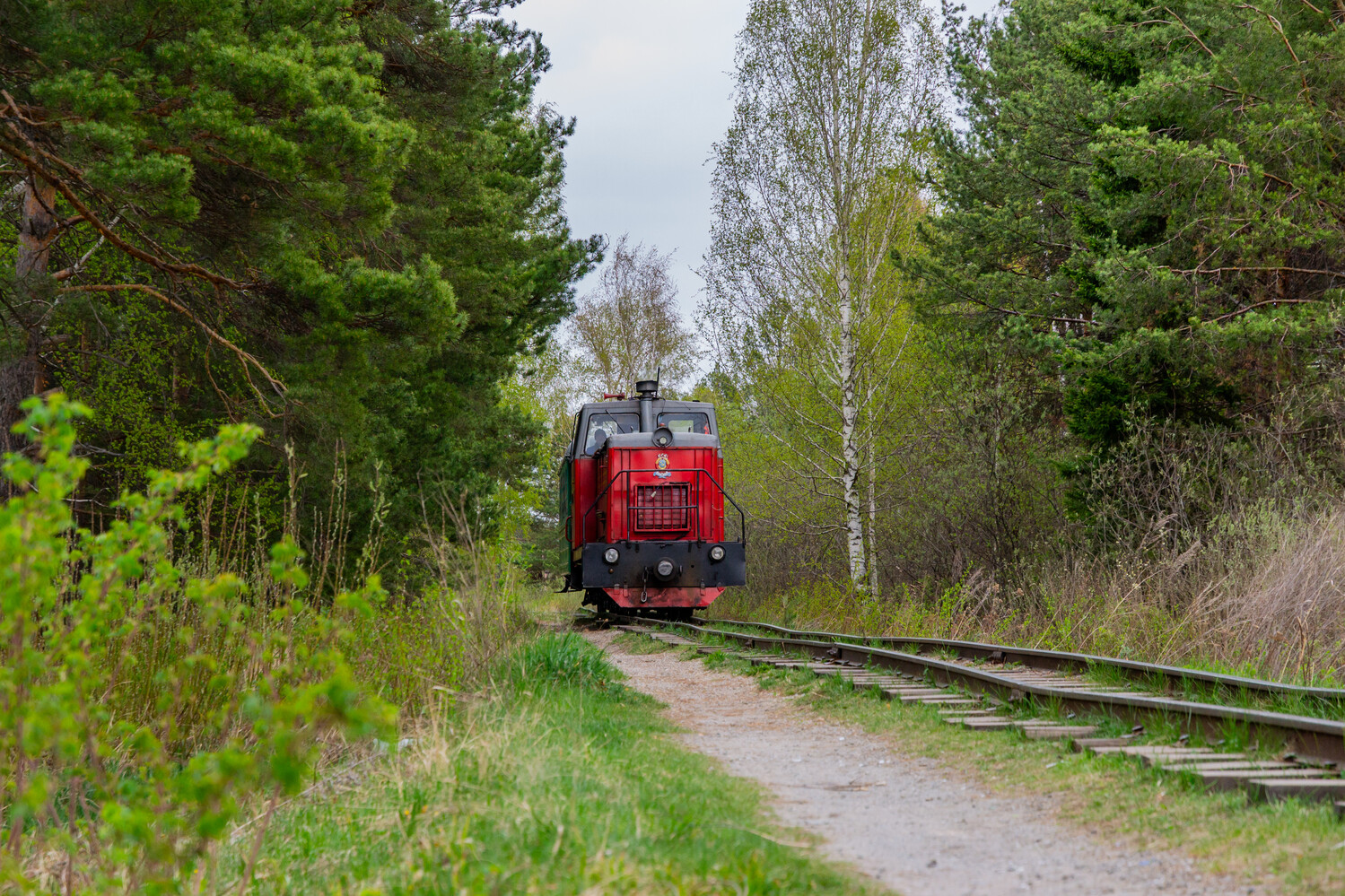 ТУ8-0010
