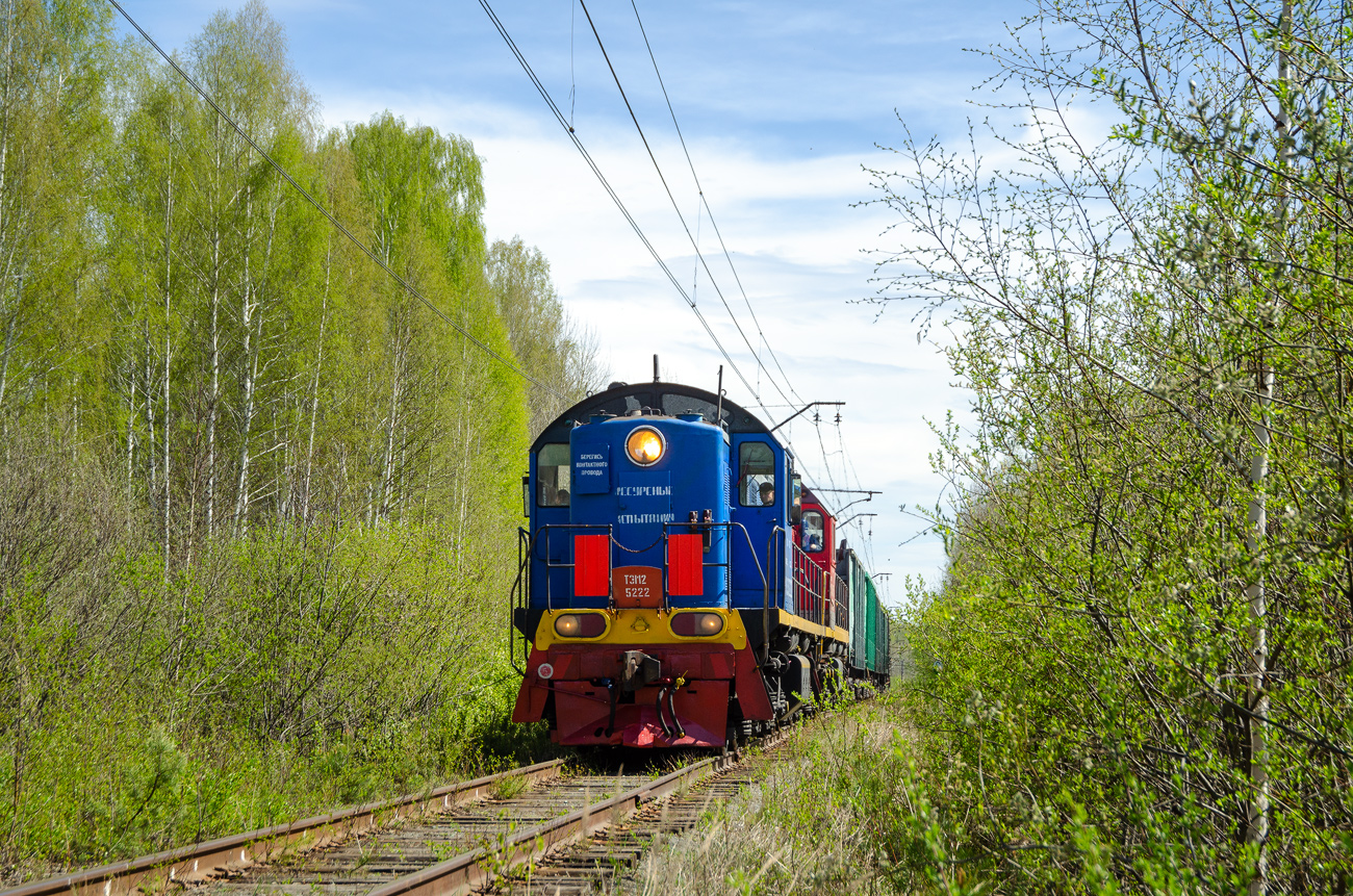 ТЭМ2-5222