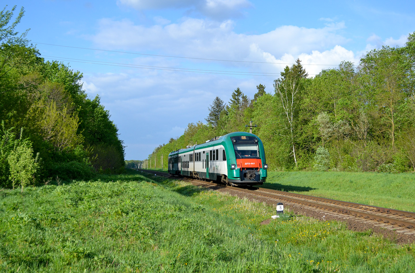 ДП3-007