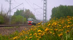 332 КБ