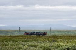 428 КБ