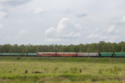 998 КБ