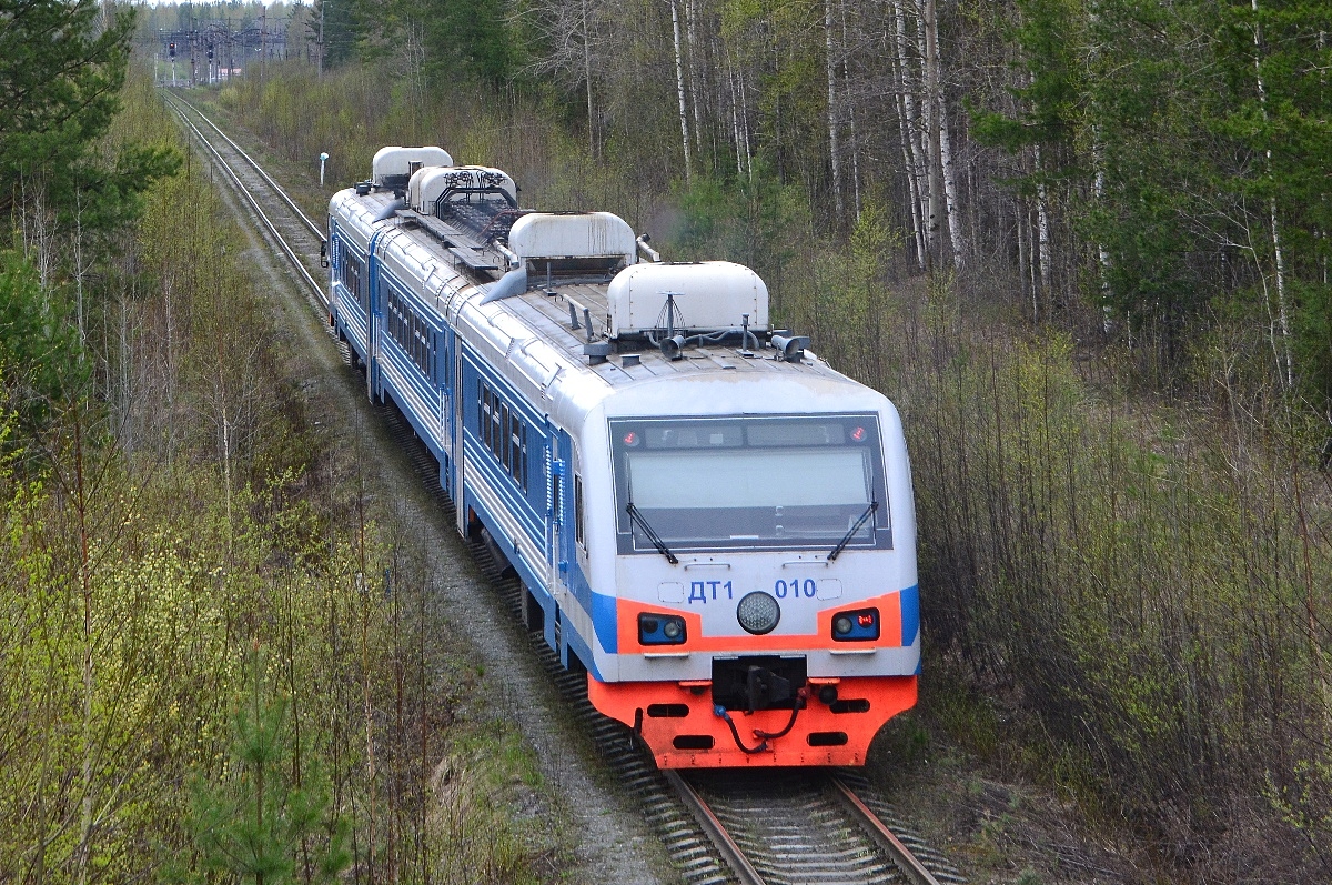 ДТ1-010