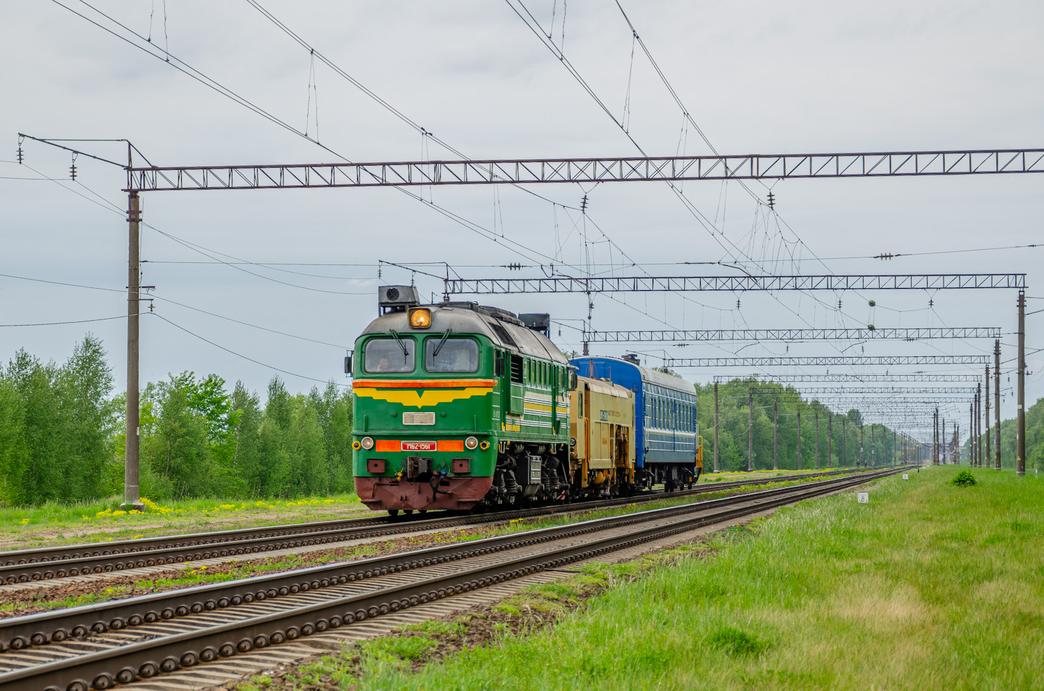 М62-1561