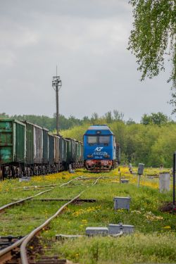 868 КБ