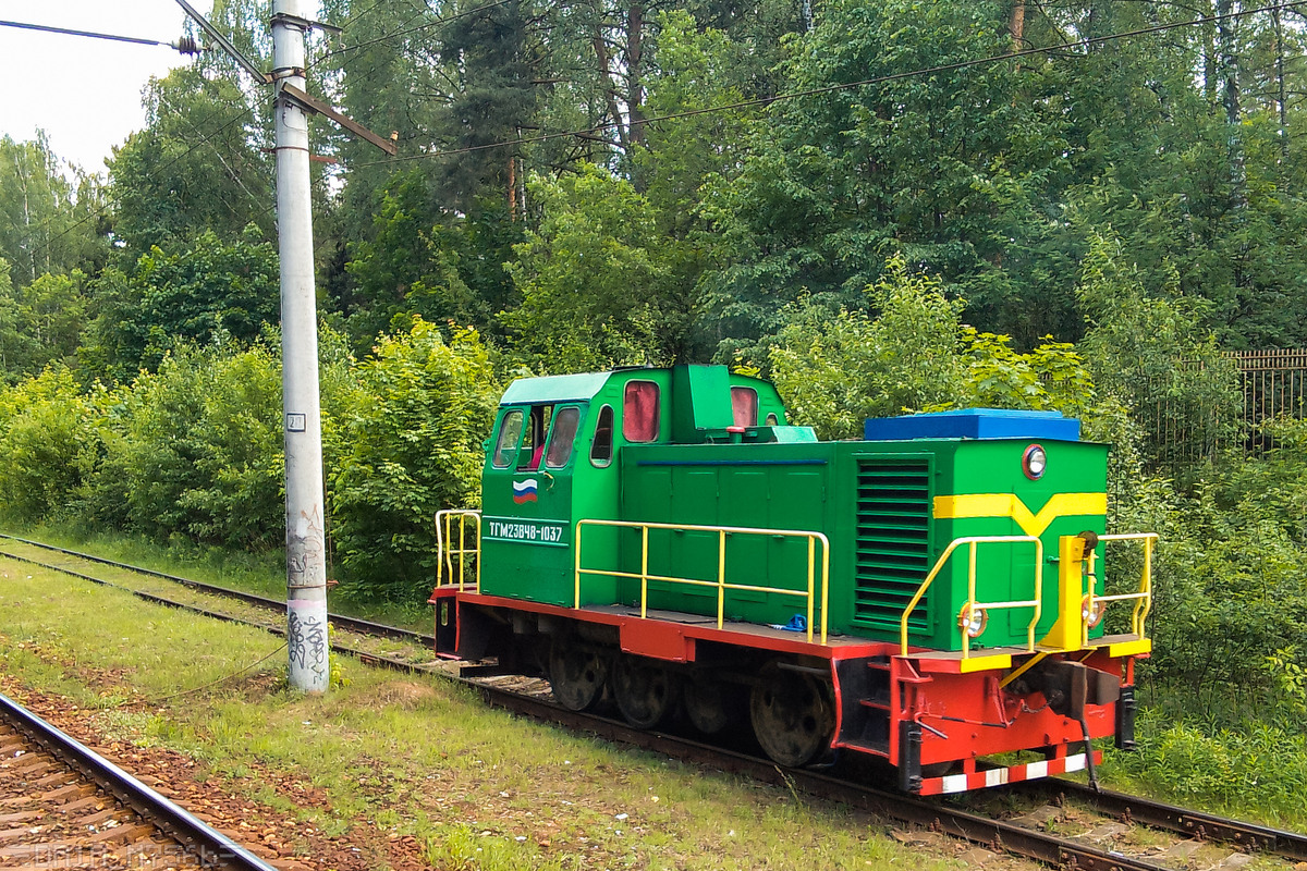 ТГМ23В48-1037