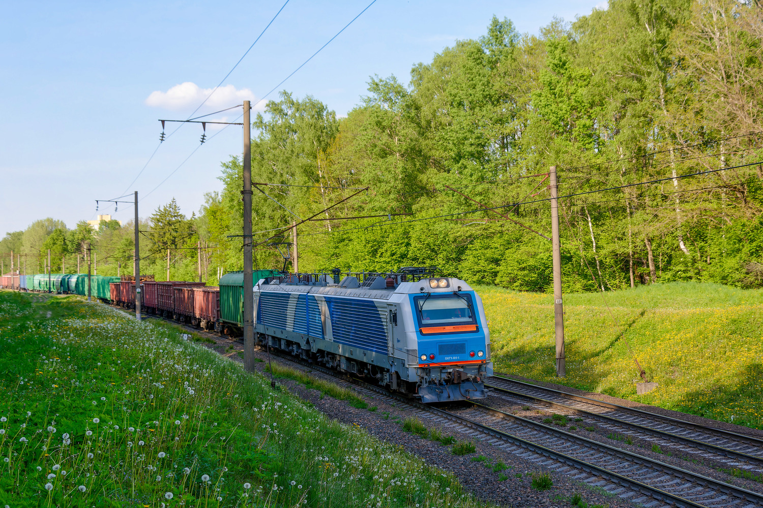 БКГ1-004