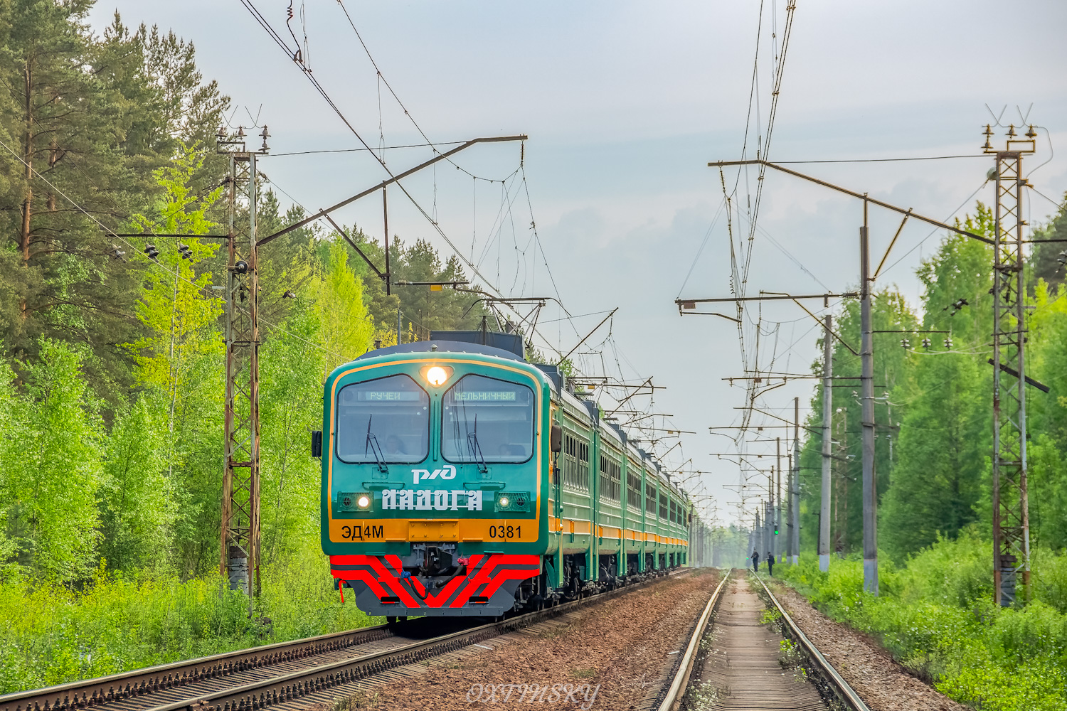 ЭД4М-0381