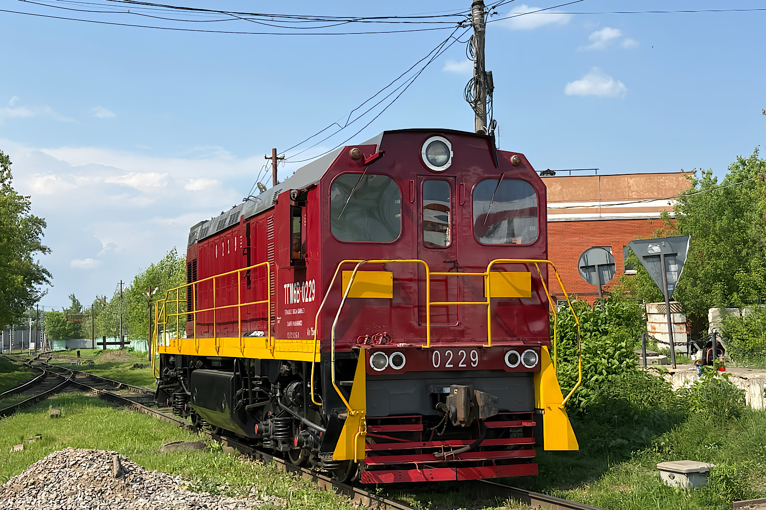 ТГМ6В-0229