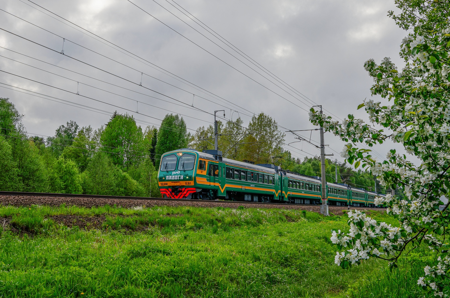 ЭД4М-0381