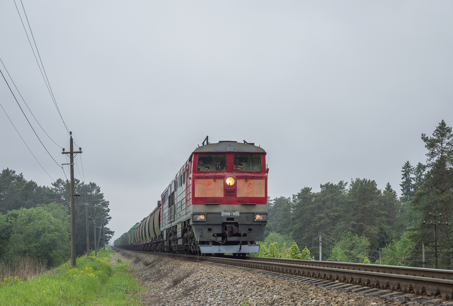 2ТЭ116-1425